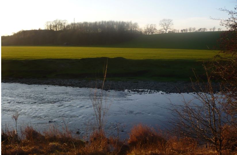 Polo field - present day